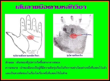 เส้นสมองคำย่อว่า สมองชัยชนะ