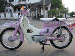 C70-C90   สีม่วงนม..(คันที่ 13